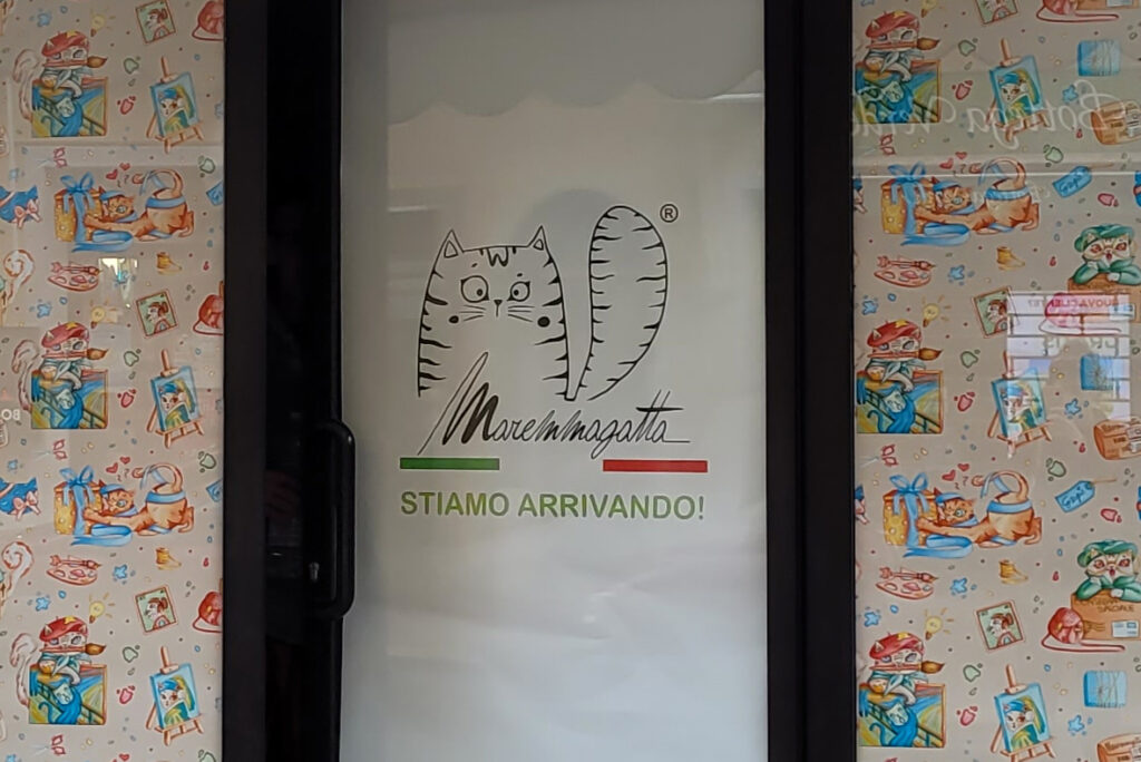 vetrina provvisoria negozio maremmagatta piombino